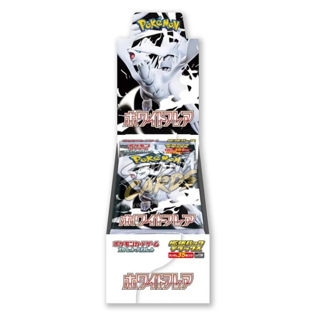 White Flare Display Deluxe 4 Buste (JP)